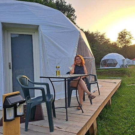Forest Glamping 布拉索夫 外观 照片