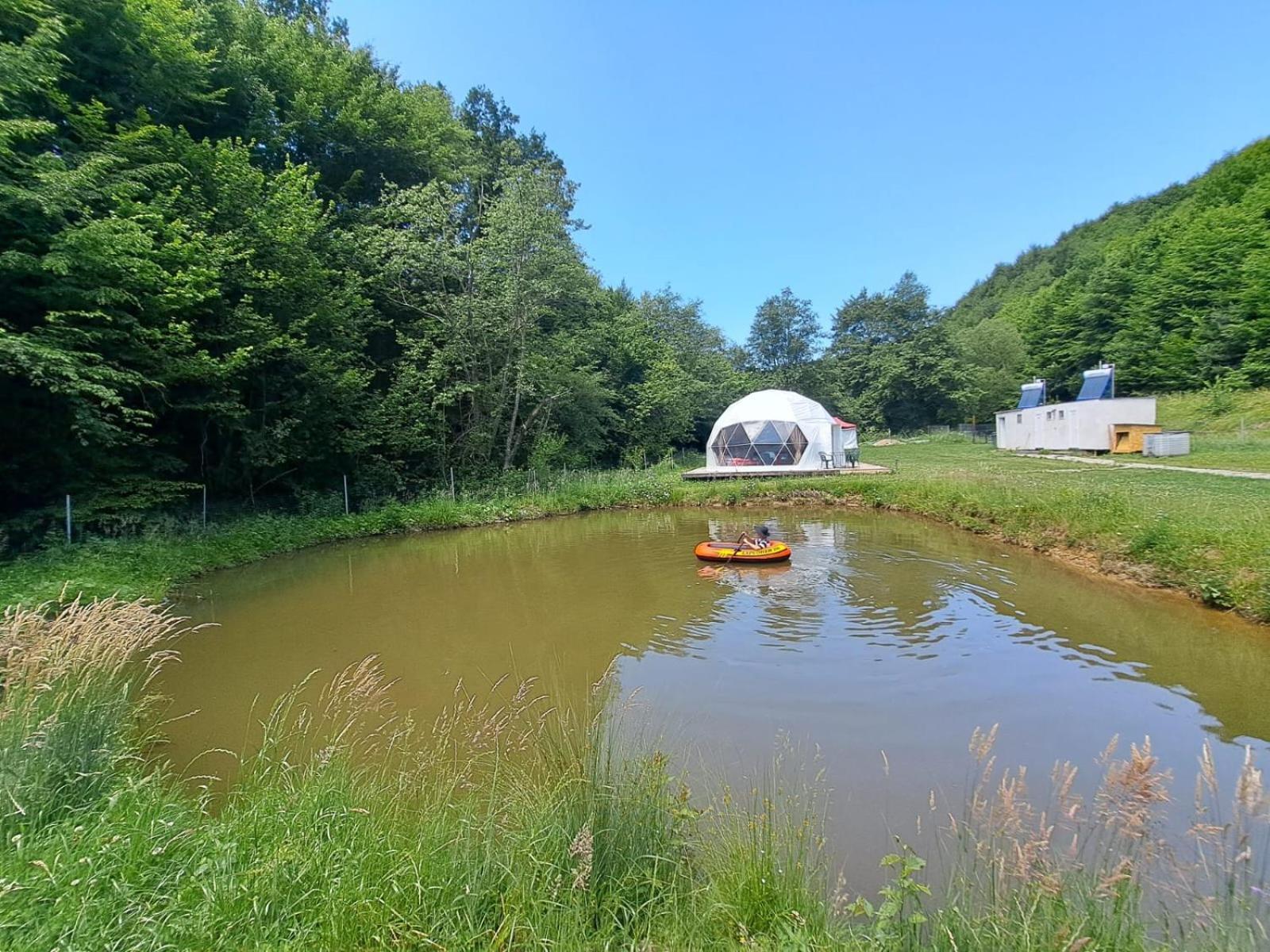 Forest Glamping 布拉索夫 外观 照片