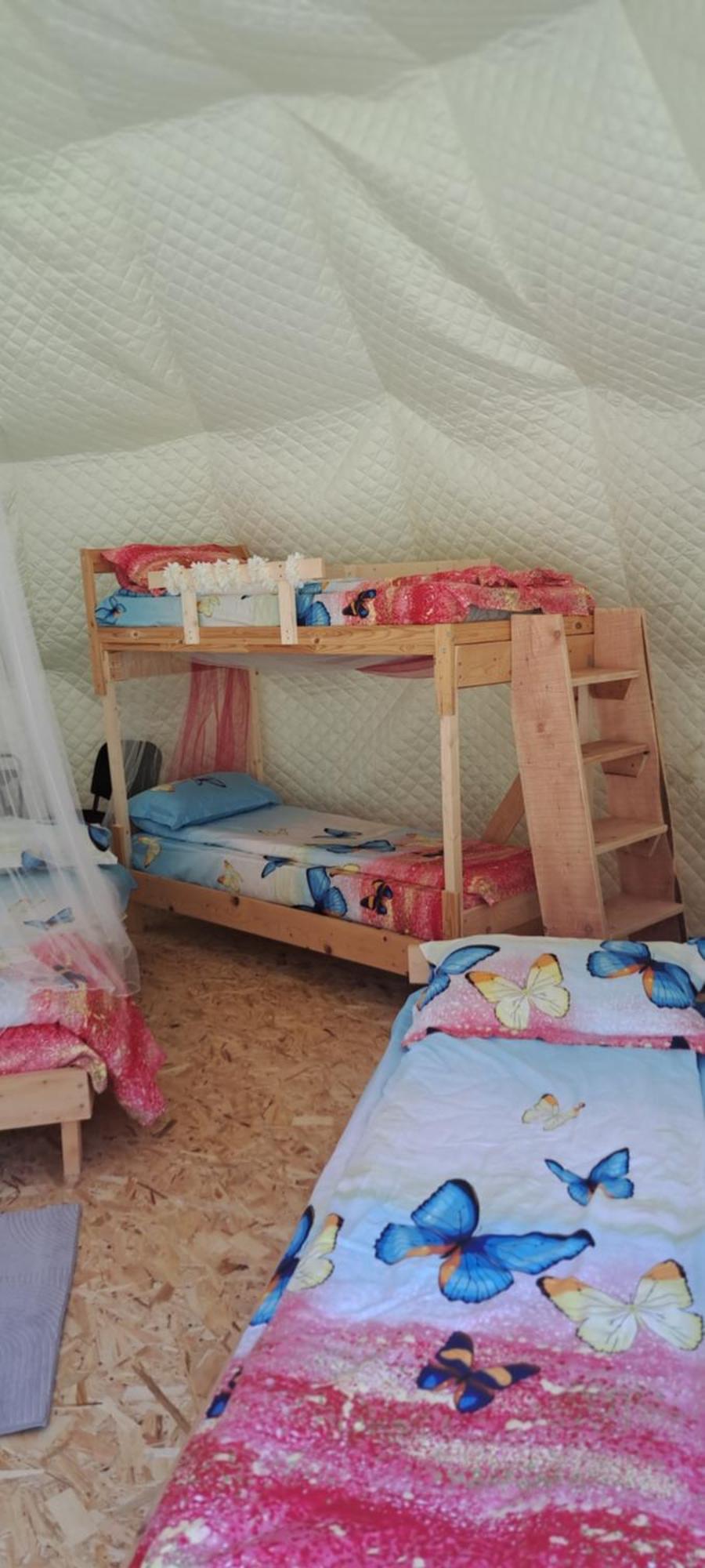 Forest Glamping 布拉索夫 外观 照片