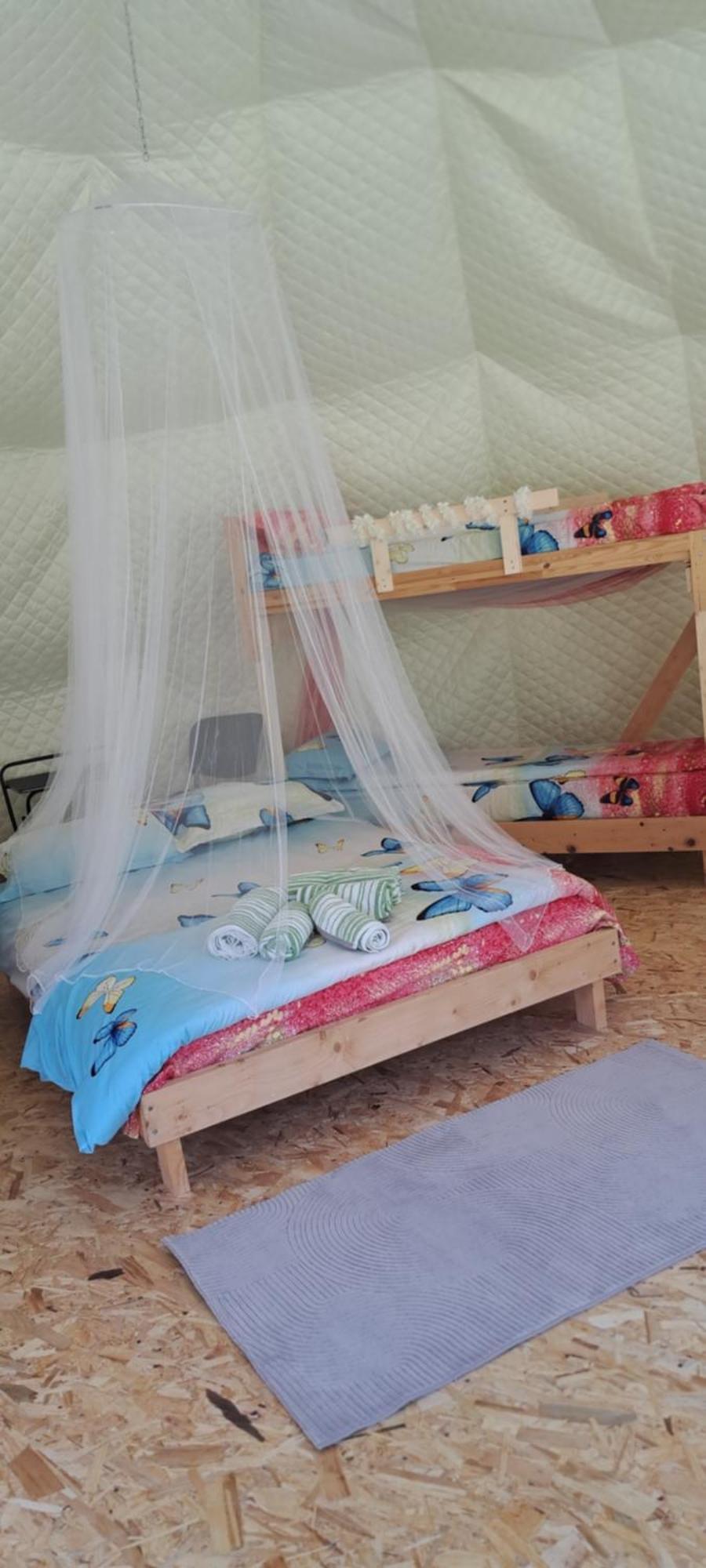 Forest Glamping 布拉索夫 外观 照片