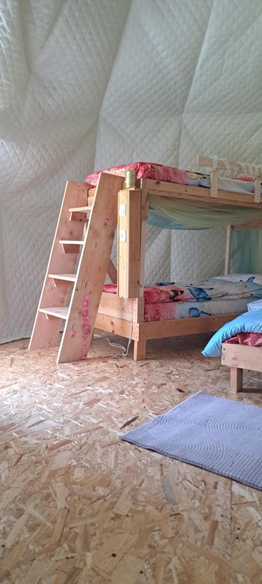 Forest Glamping 布拉索夫 外观 照片