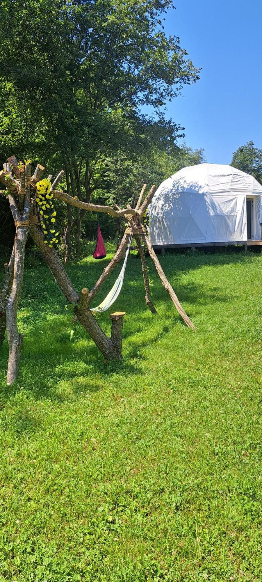 Forest Glamping 布拉索夫 外观 照片