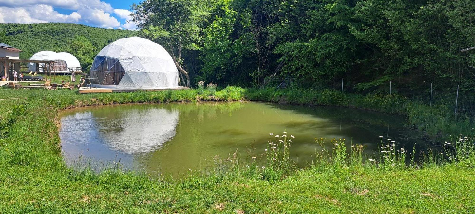 Forest Glamping 布拉索夫 外观 照片
