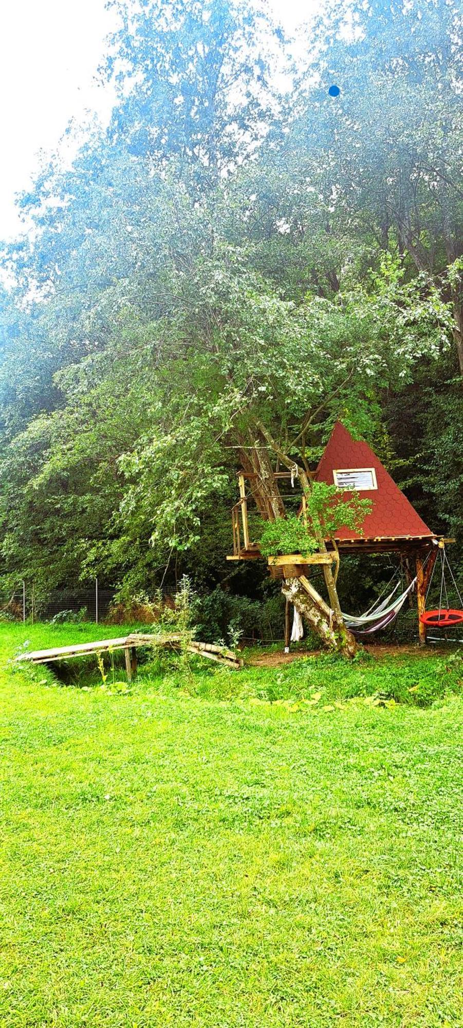 Forest Glamping 布拉索夫 外观 照片