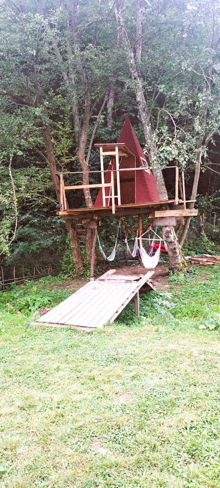 Forest Glamping 布拉索夫 外观 照片